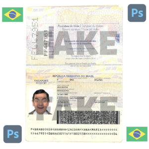 دانلود لایه باز پاسپورت برزیل